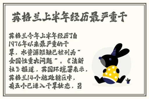 荷兰VODAFONE精品